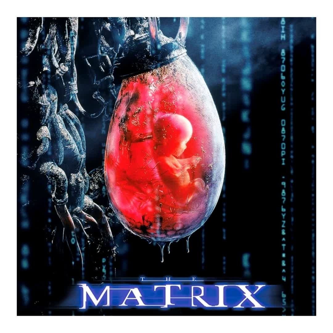 The Baby Matrix by Laura Carroll