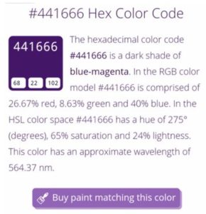 hex color code purple.jpg