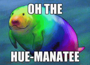 manatee-rainbow