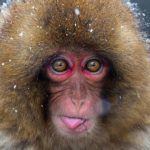 Profile picture of dolmundo