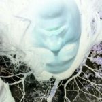 Profile picture of lunadante