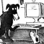 Profile picture of TomTom