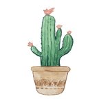 Profile picture of noah