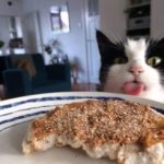 Profile picture of tealwarrior37737