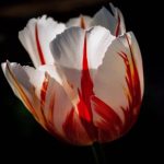 Profile picture of jshap